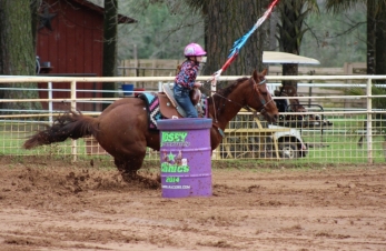 8 year old grand daughter knows how to work her horse in the mud.